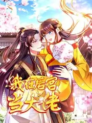 纪录与综艺抽屉字段示意图鉴